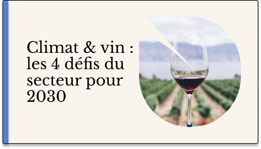 Climat et vin : les 4 grands défis du secteur pour 2030