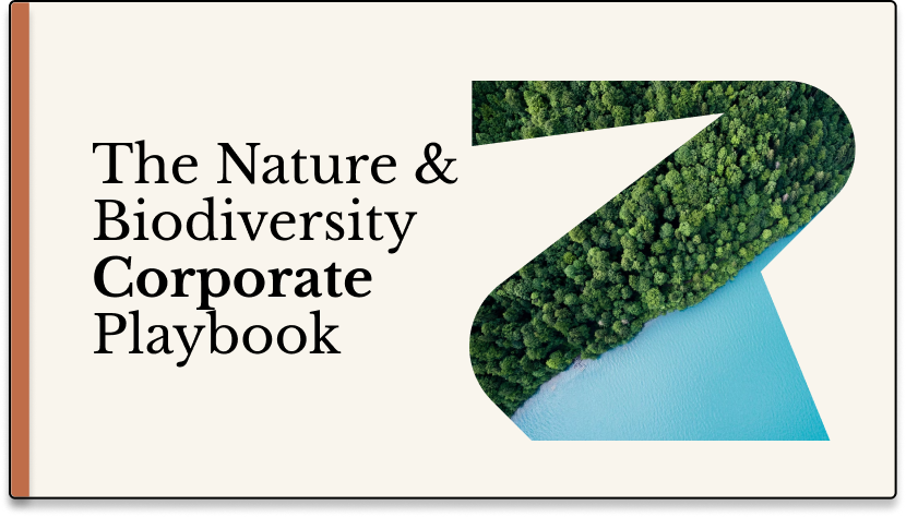 The Nature & Biodiversity Corporate Playbook