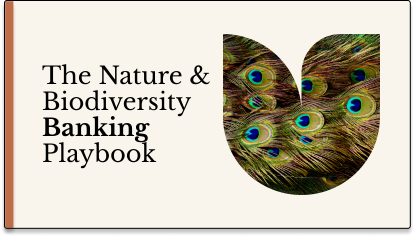 The Nature & Biodiversity Banking Playbook